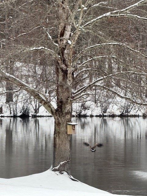 Snow Day in Pelham January 10, 2024